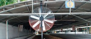 Ventiladores industriales