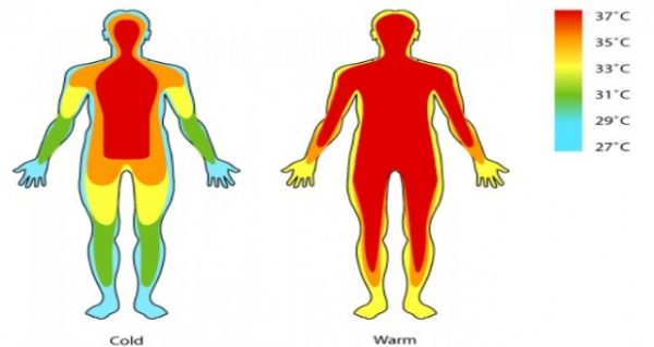 balance térmico entre el cuerpo humano y la temperatura ambiente en el